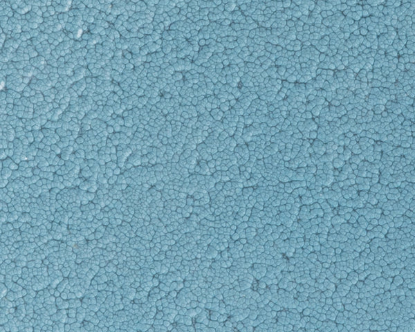 Back Plate - Blue Variant